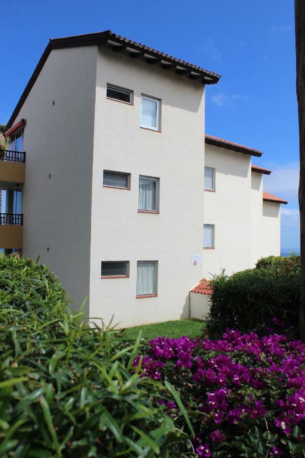 Holidaynorthtenerife Exotic Apartament Los Realejos Luaran gambar
