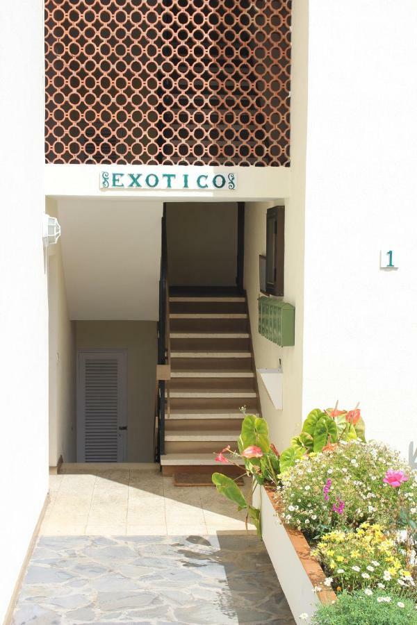 Holidaynorthtenerife Exotic Apartament Los Realejos Luaran gambar