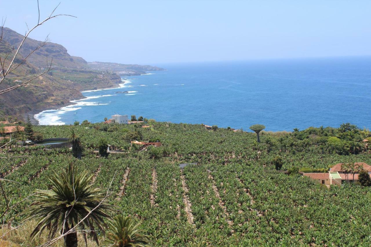 Holidaynorthtenerife Exotic Apartament Los Realejos Luaran gambar