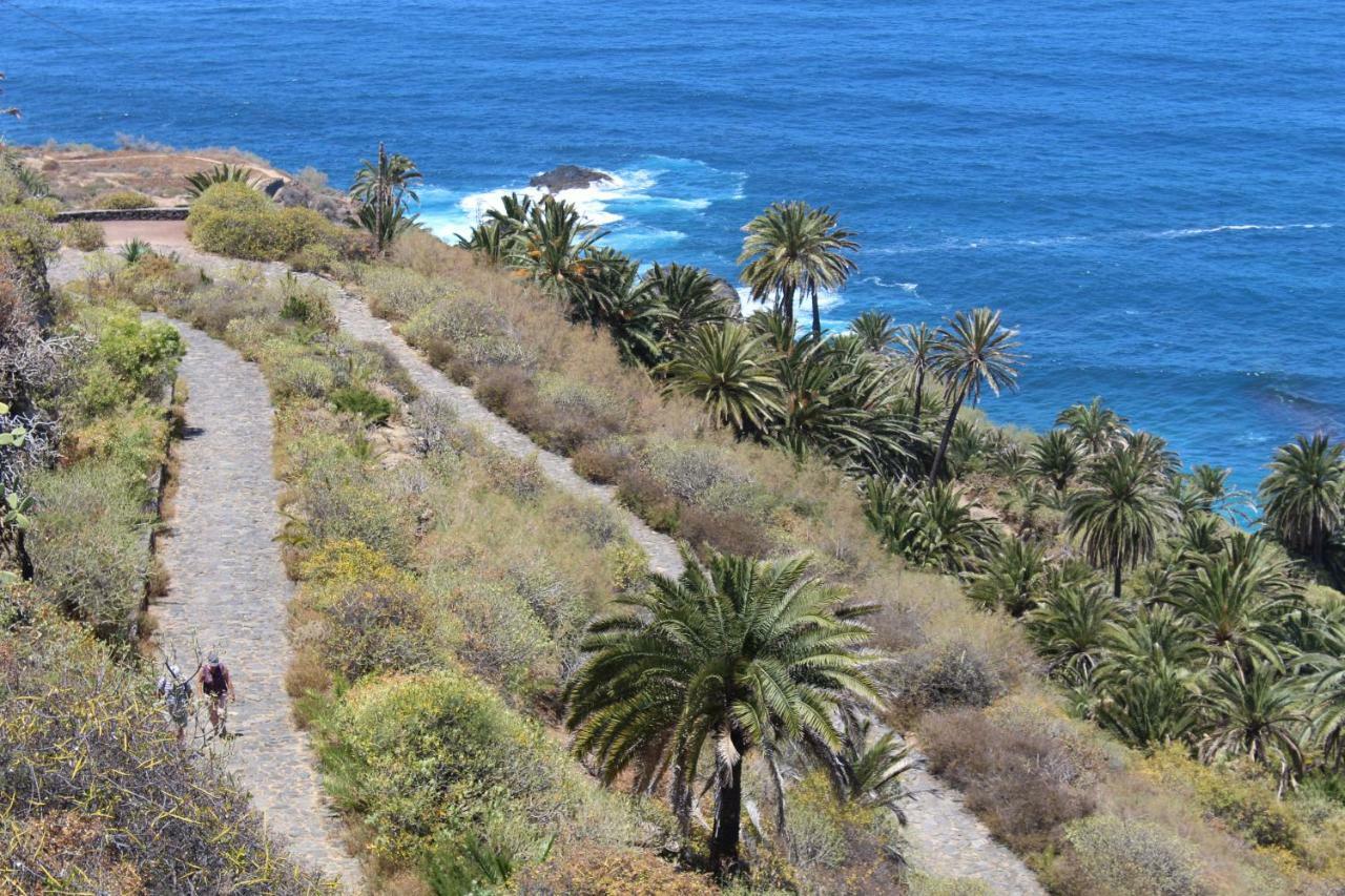 Holidaynorthtenerife Exotic Apartament Los Realejos Luaran gambar